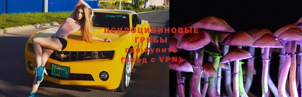 дживик Балахна