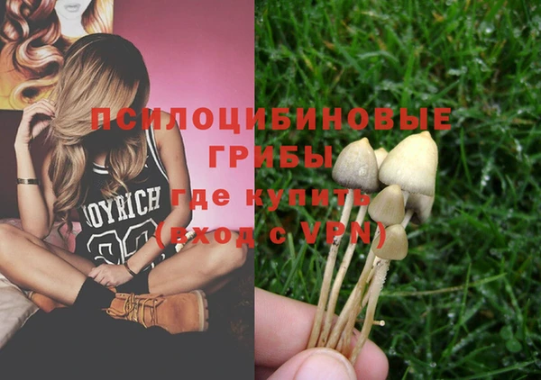 дживик Балахна