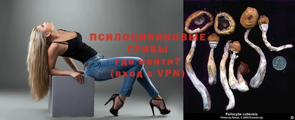 стаф Баксан