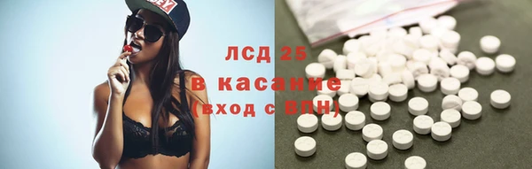 стаф Баксан