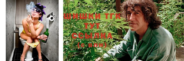 дживик Балахна