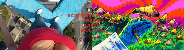 винт Сатка
